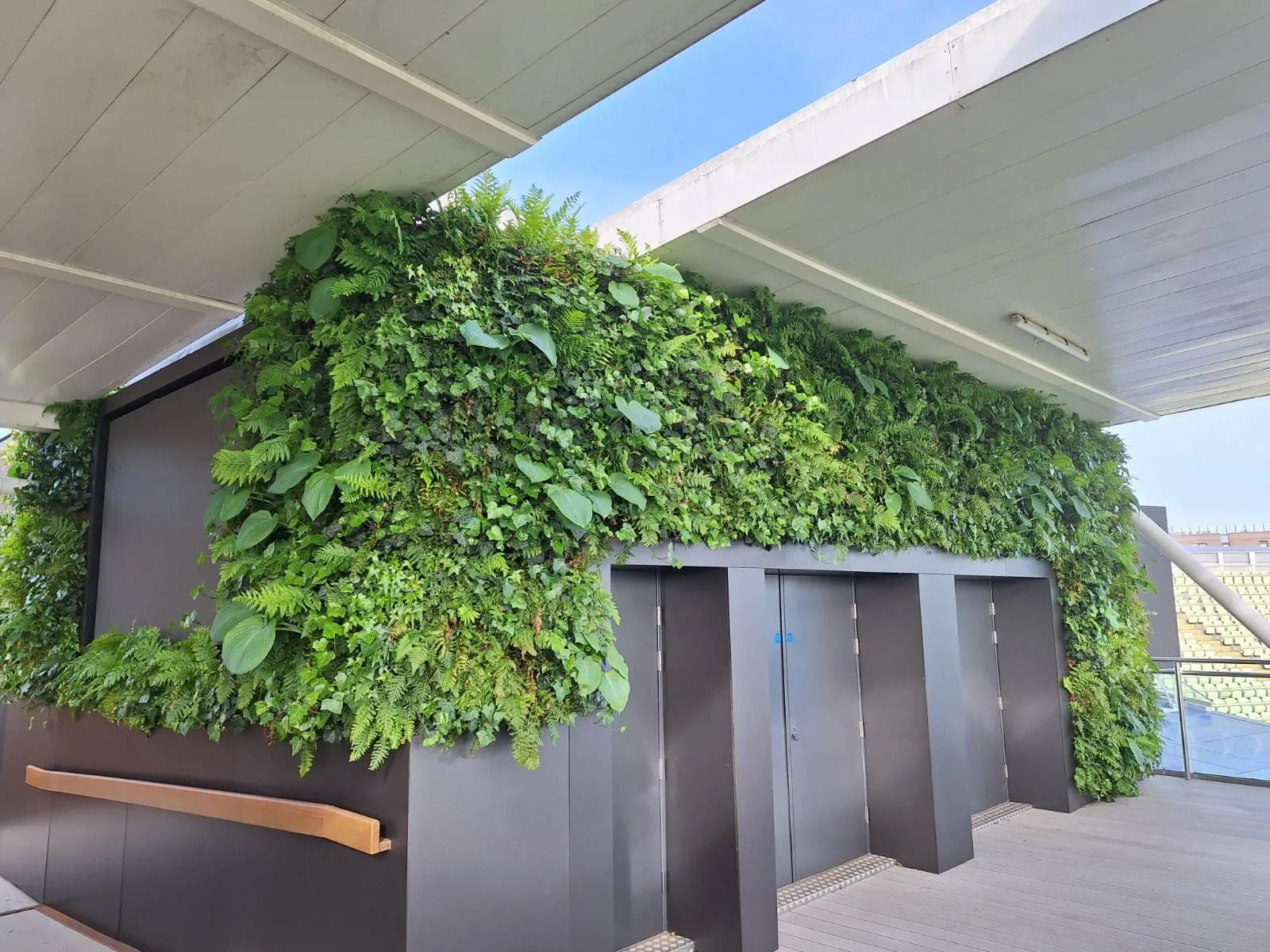 Green living wall covering doors and walls with lush ferns and plants