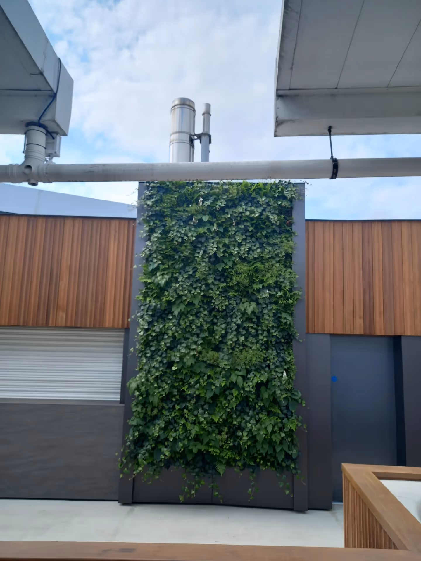 Green vertical garden wall with lush plants against modern architectural background