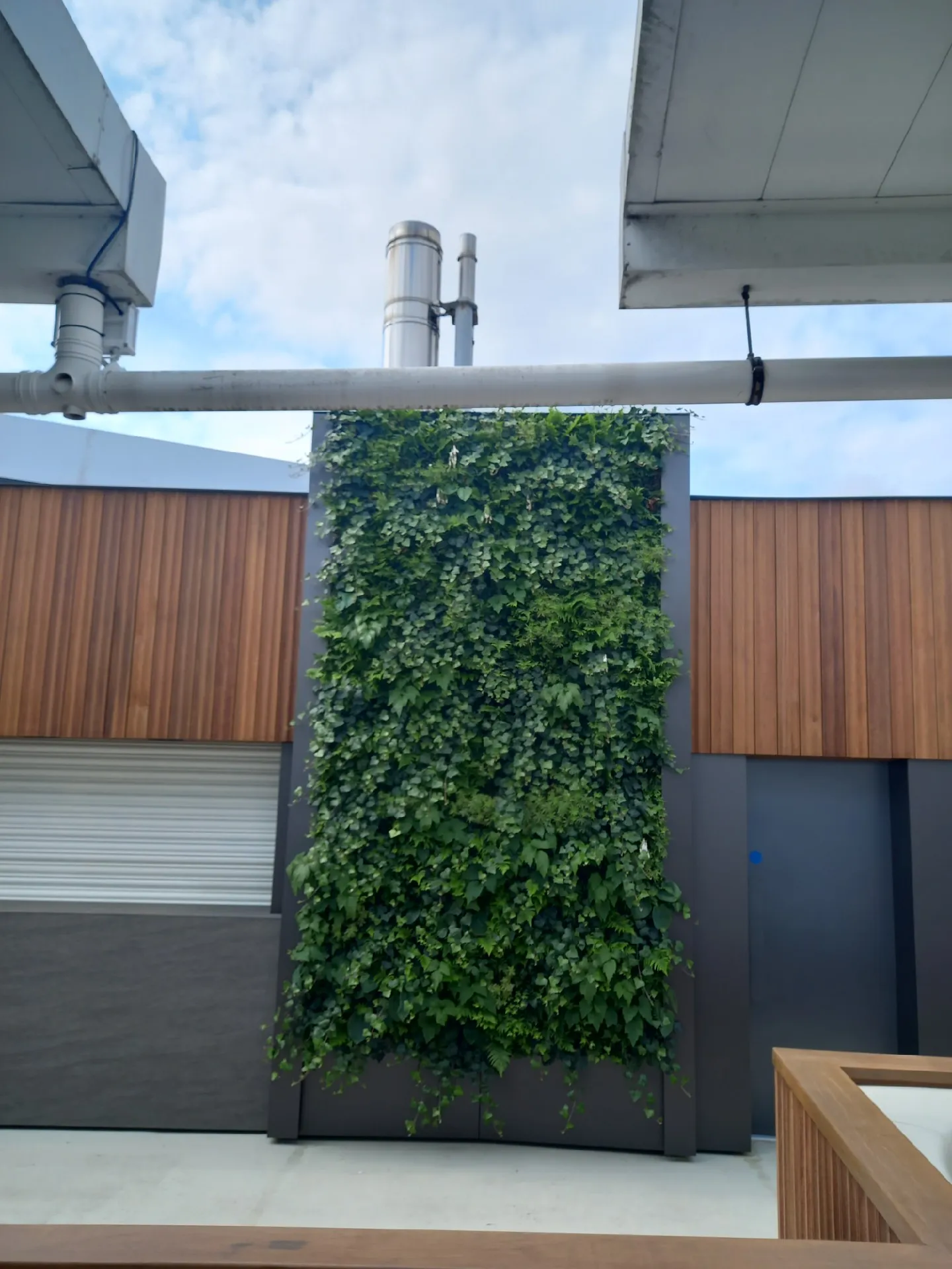 Green vertical garden wall with lush plants against modern architectural background