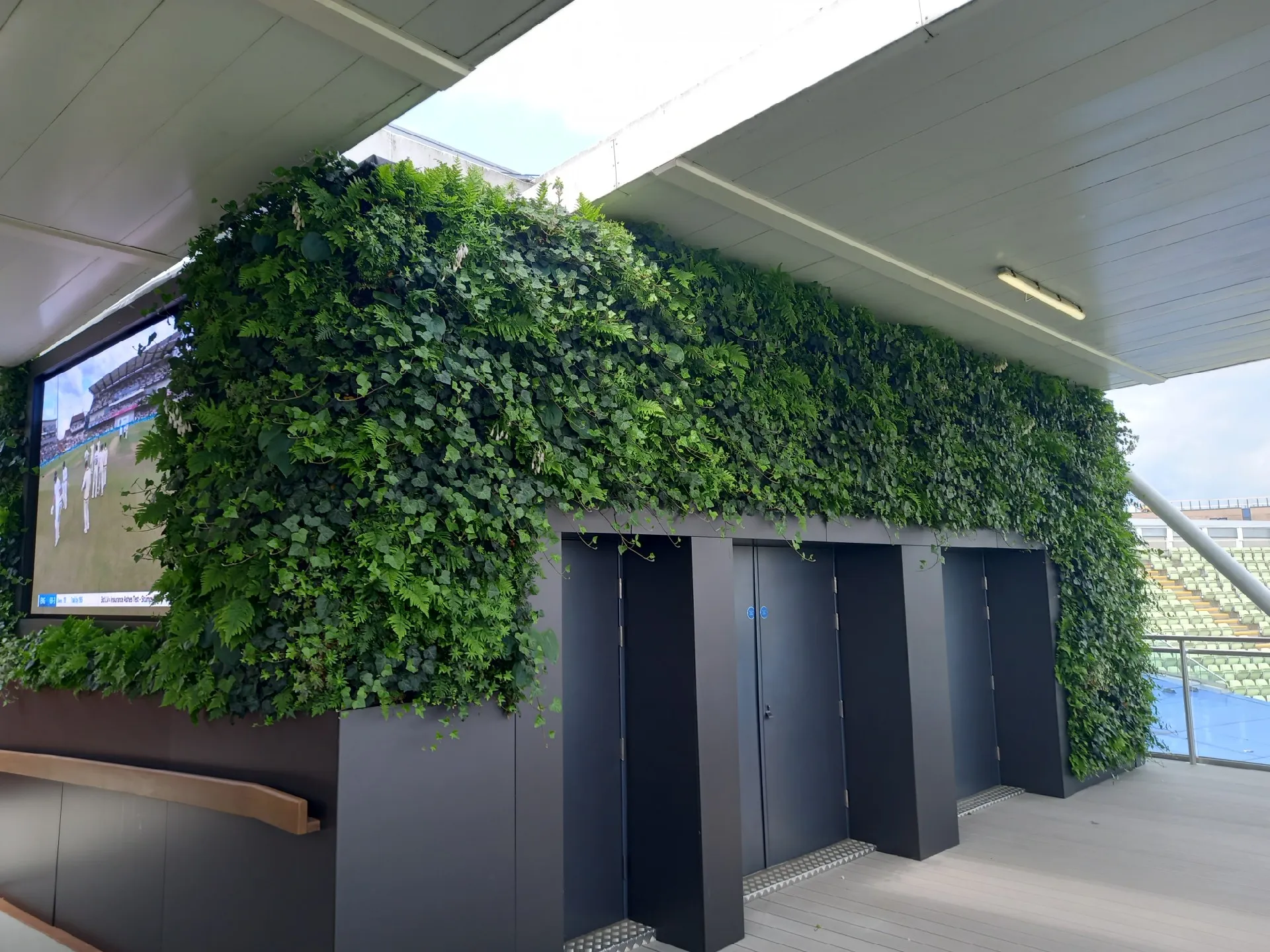 Green living wall surrounding dark doors in modern architectural space