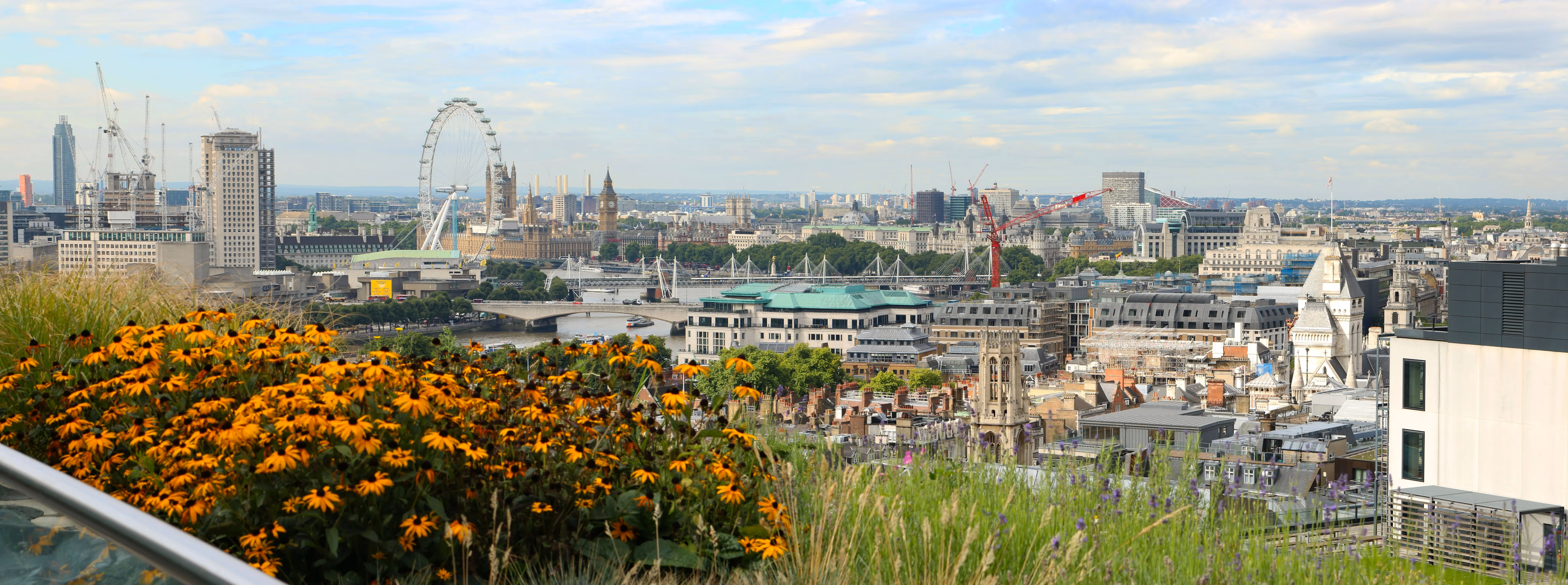 Green roof at 1New Street Square showing the London skyline in the background