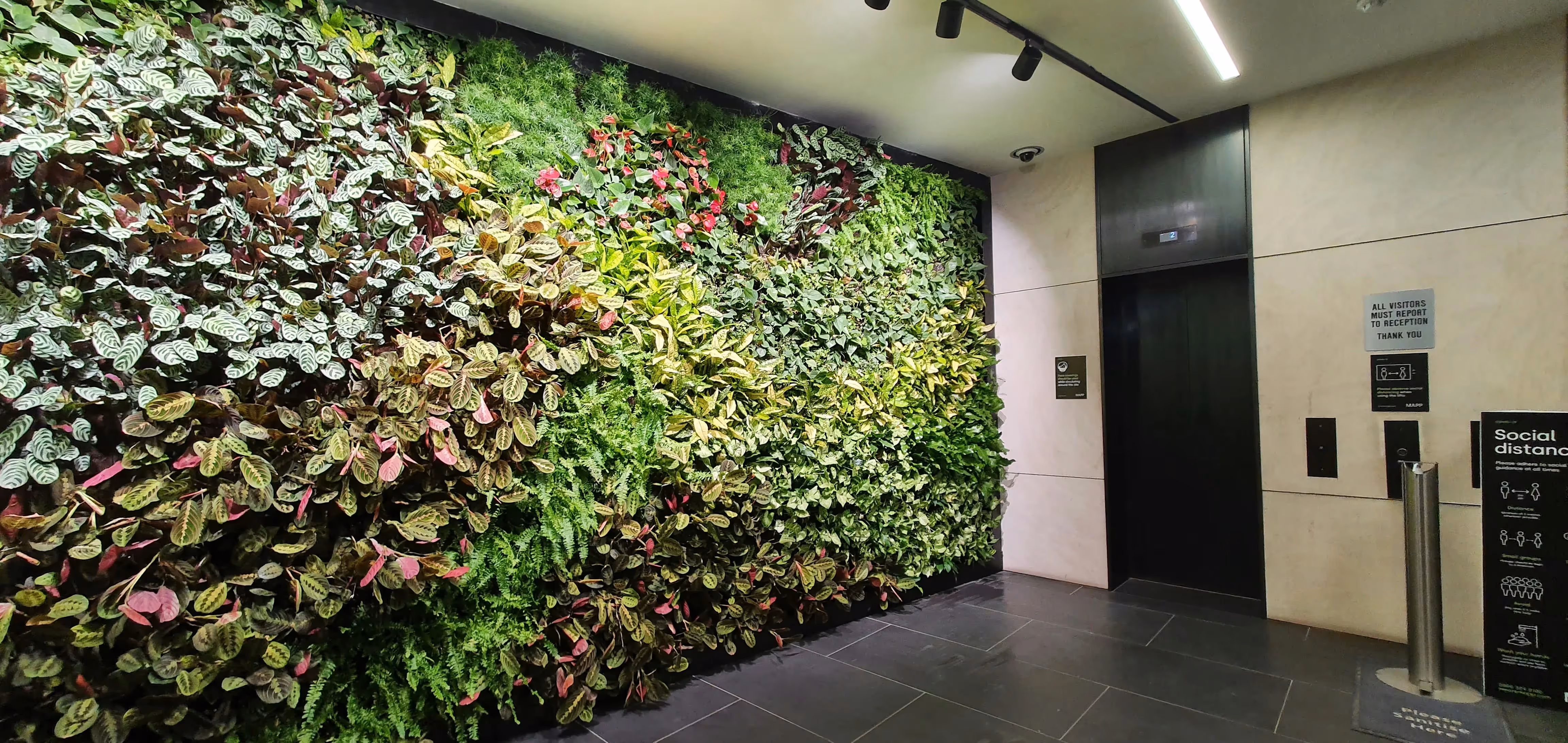 Lush living wall with diverse green plants near modern elevator entrance