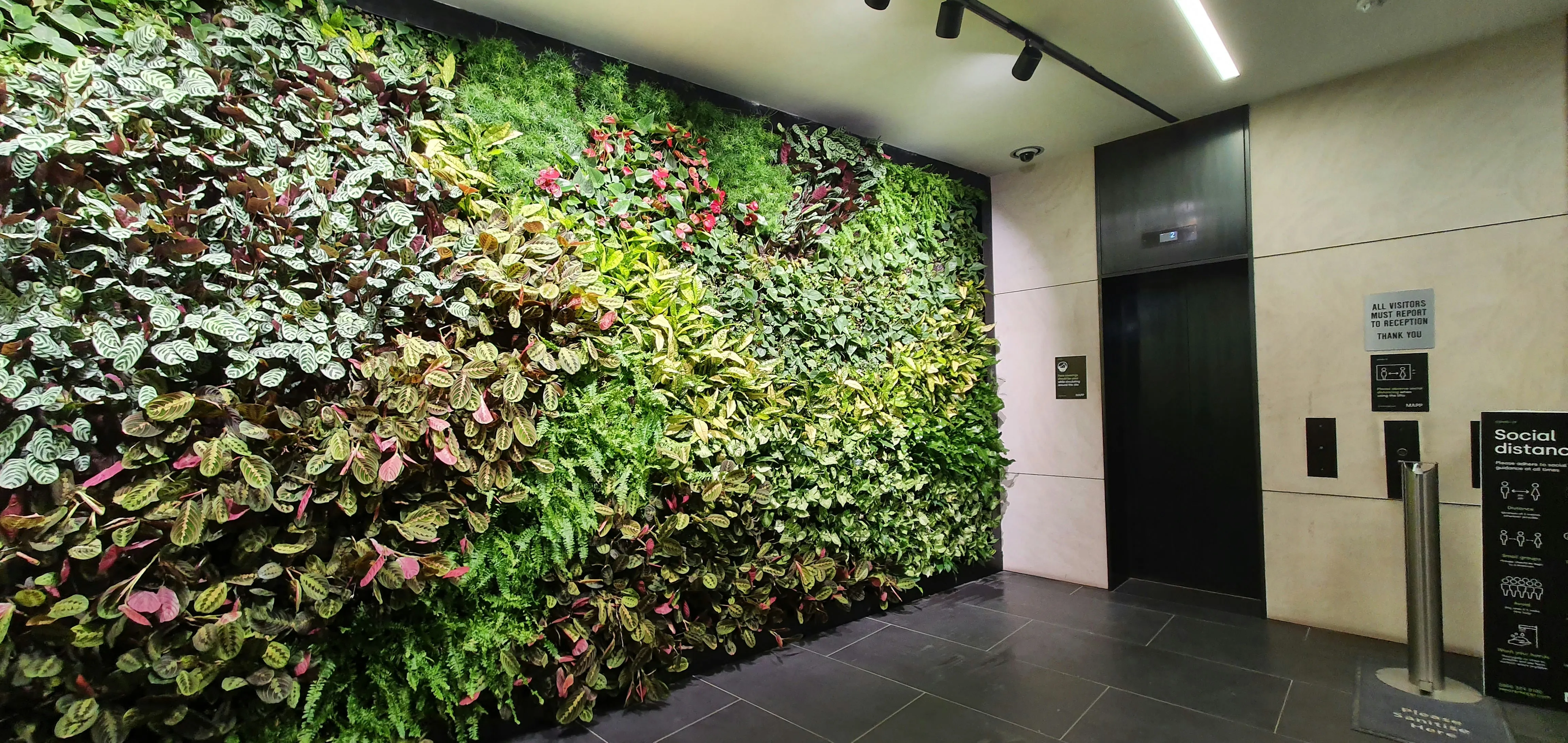 Lush living wall with diverse green plants near modern elevator entrance