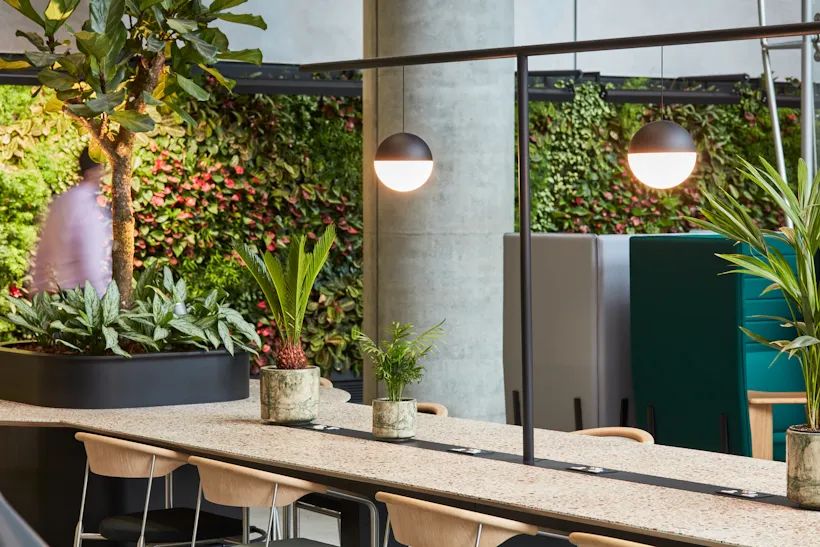 Living wall with lush plants and hanging lights in modern office space
