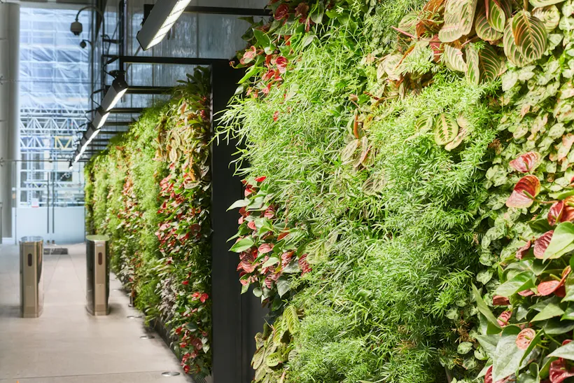 Lush living wall with diverse green and red plants in indoor space