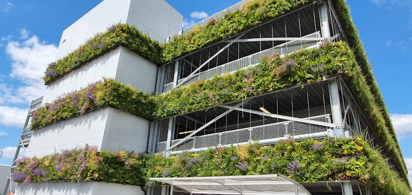 Modern building with lush living wall covering white architectural facade
