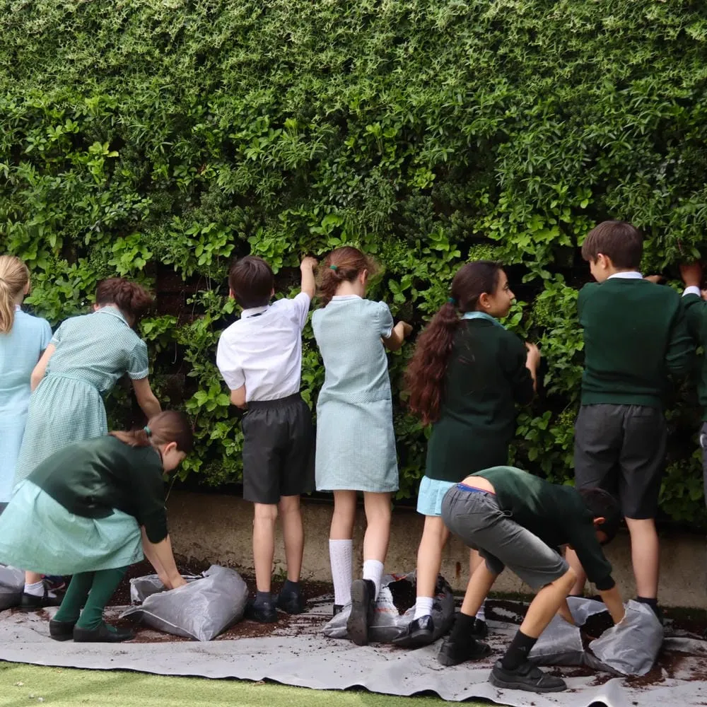 The headteacher was forced to reduce the children’s playtimes due to the very poor air quality having a noticeable effect on his student’s health at St Mary's.