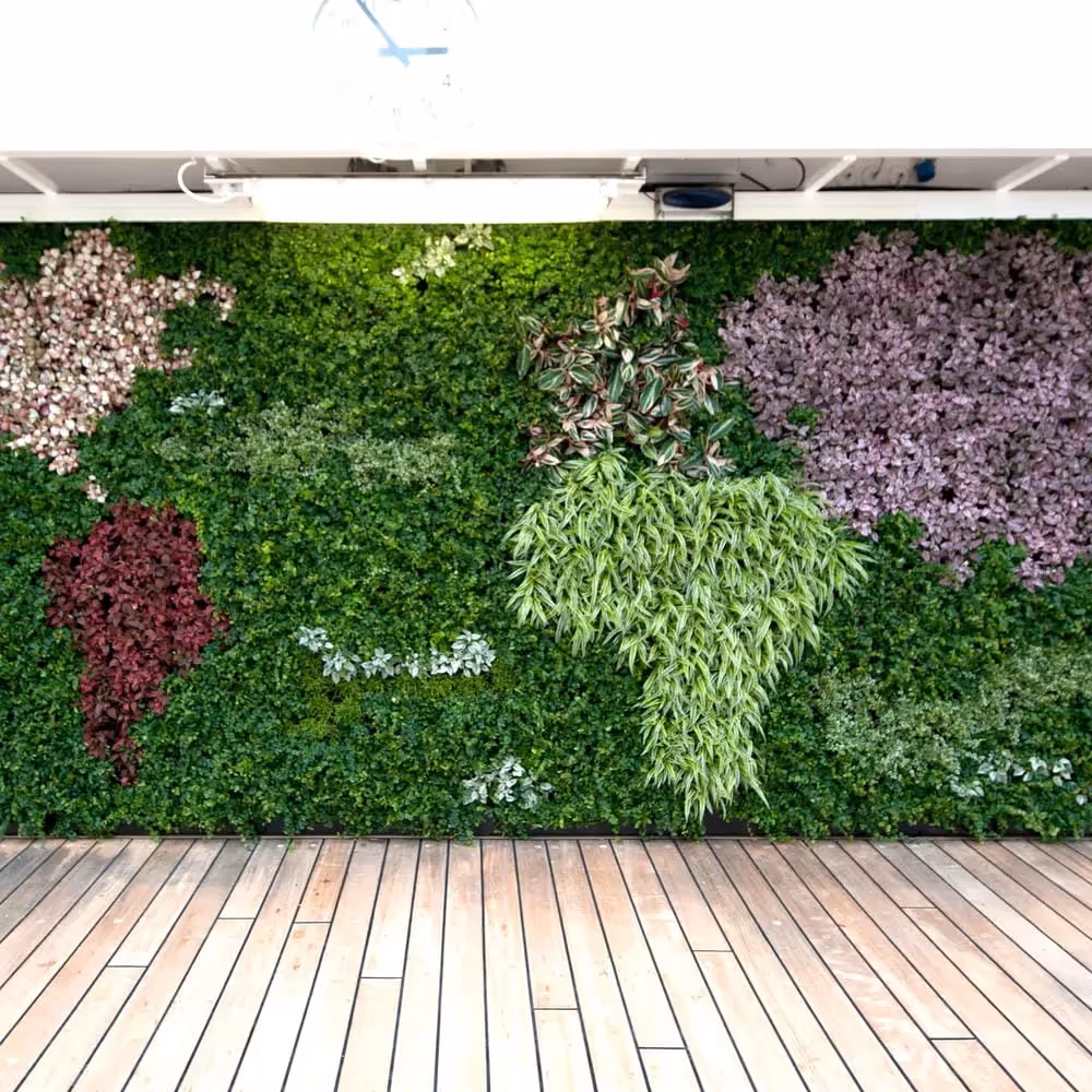 Internal living wall on Crystal Symphony cruise ship