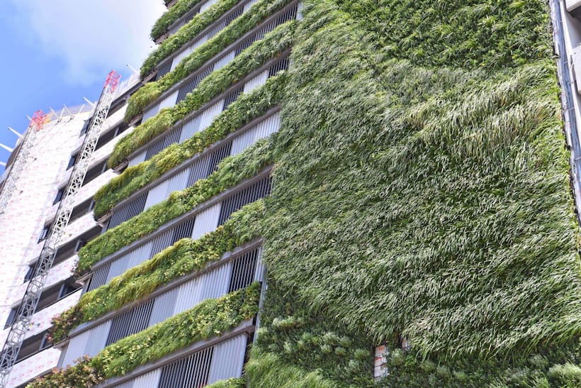 Living wall of green plants covering modern urban building facade