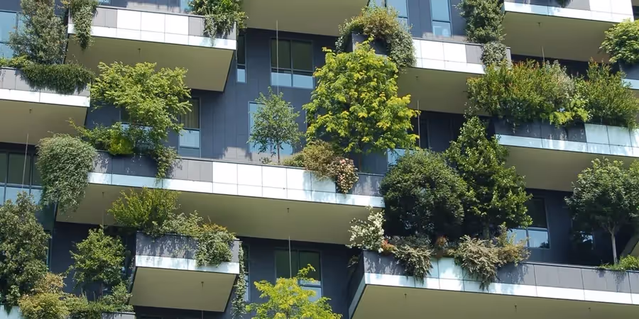 Balconies on the side of an apartment building, with trees and shrubs growing on them
