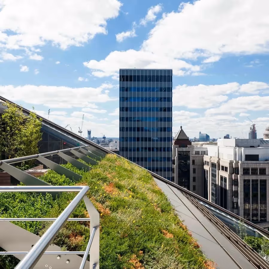 Living green wall on urban rooftop with London cityscape and St. Paul's Cathedral