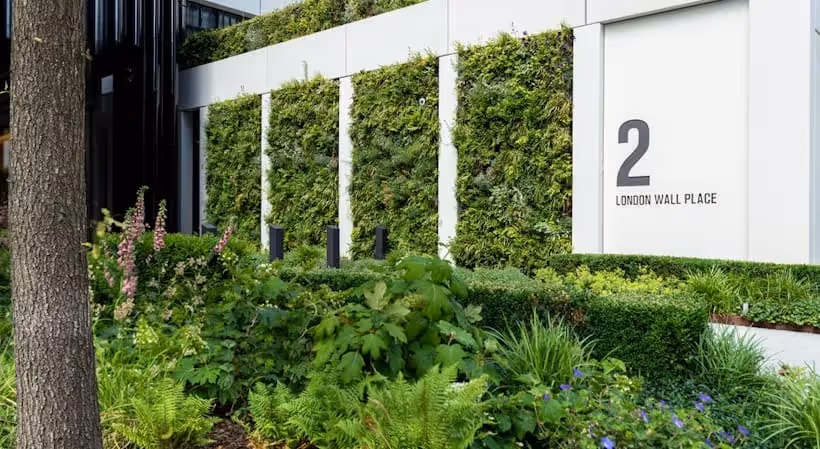 Living green wall at 2 London Wall Place with lush vertical garden