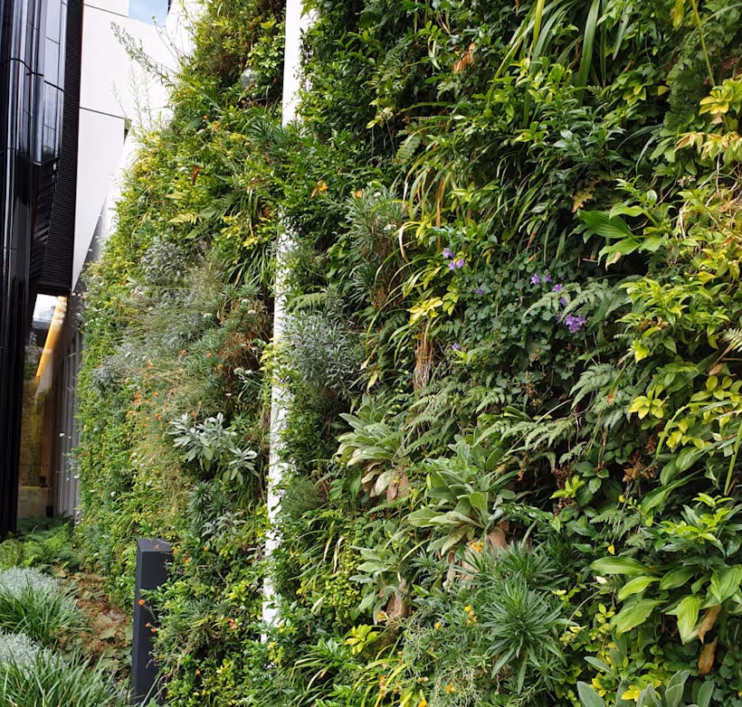 Lush living wall with diverse green plants covering urban building exterior at 2 London Wall Place