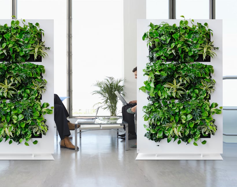 Living green wall with lush plants in modern office workspace