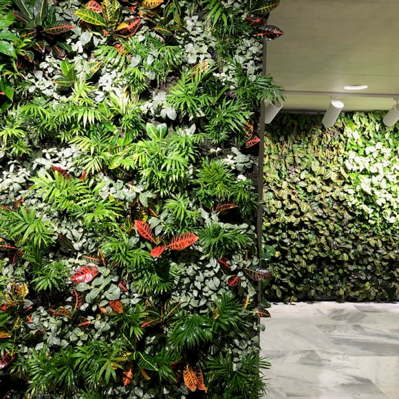 Vibrant living wall with diverse green and red foliage in indoor space