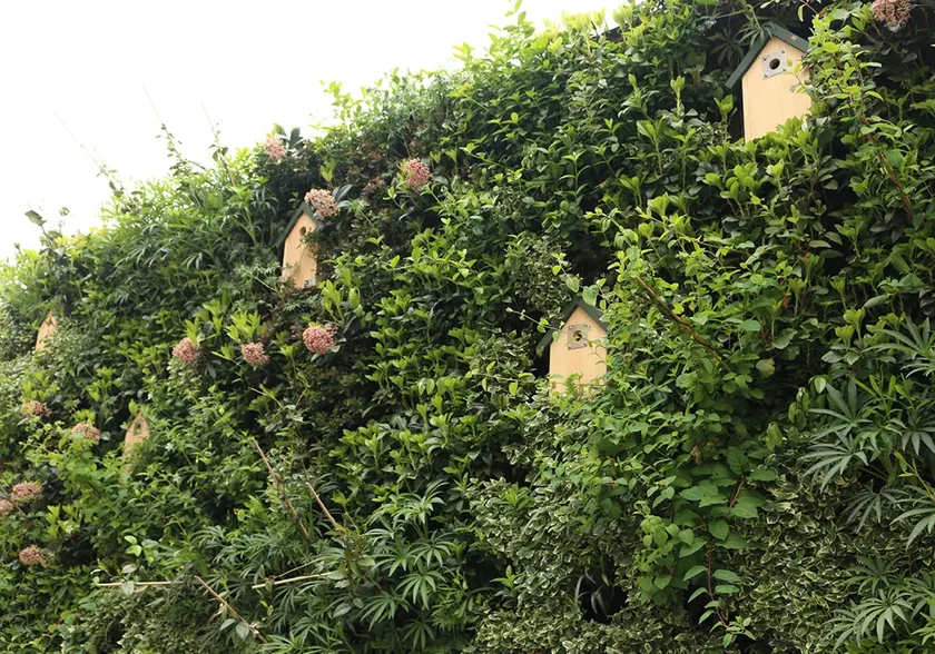 Close up of living wall with bird boxes installed in the wall 