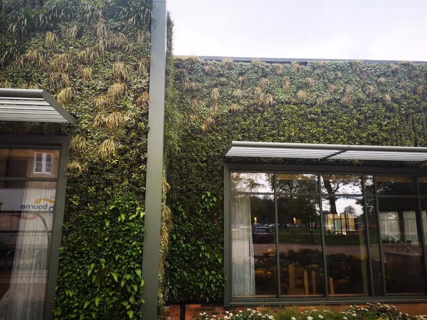 Lush living wall covering modern building with green vertical garden
