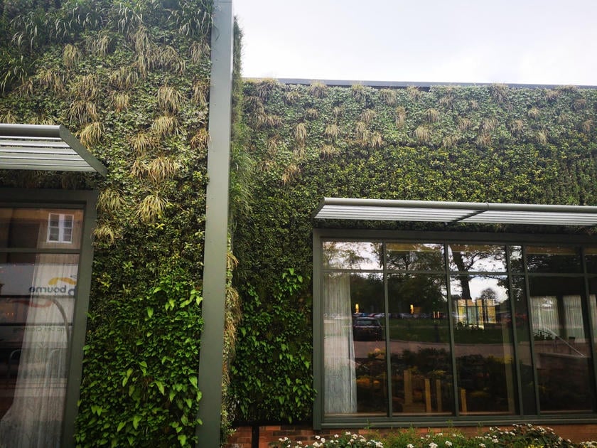 Lush living wall covering modern building with green vertical garden