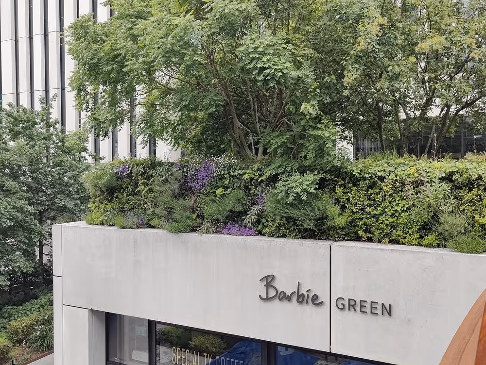 The planted roof above the living walls and London Wall Place