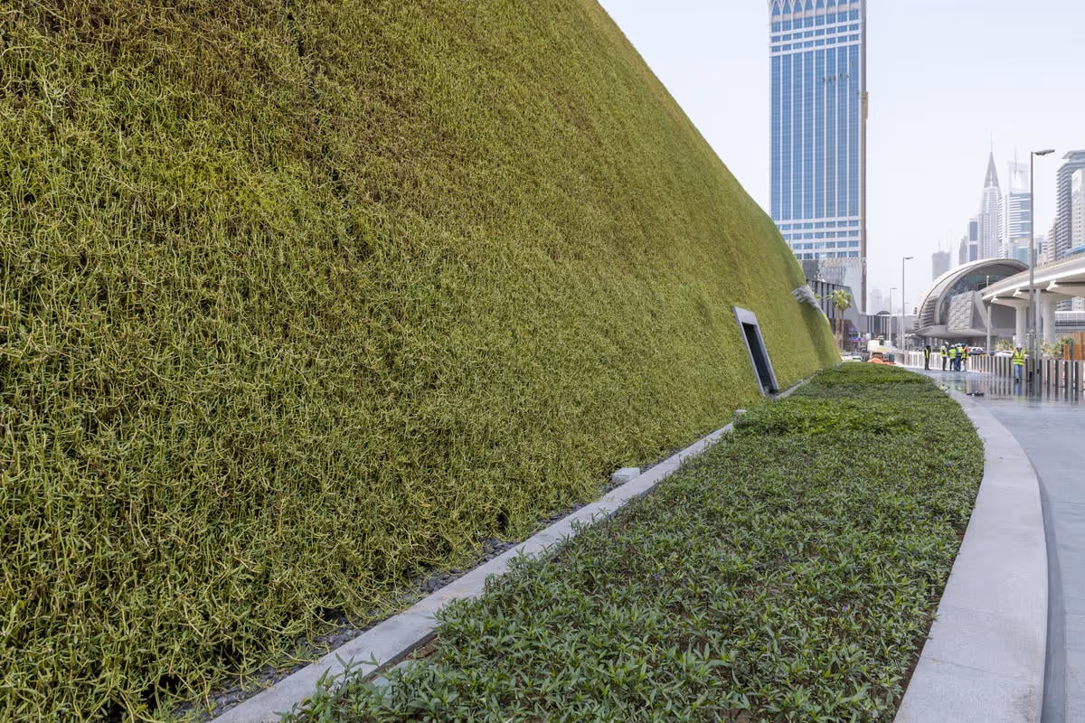 Side profile of Museum of the Future showing the green wall installed by Viritopia