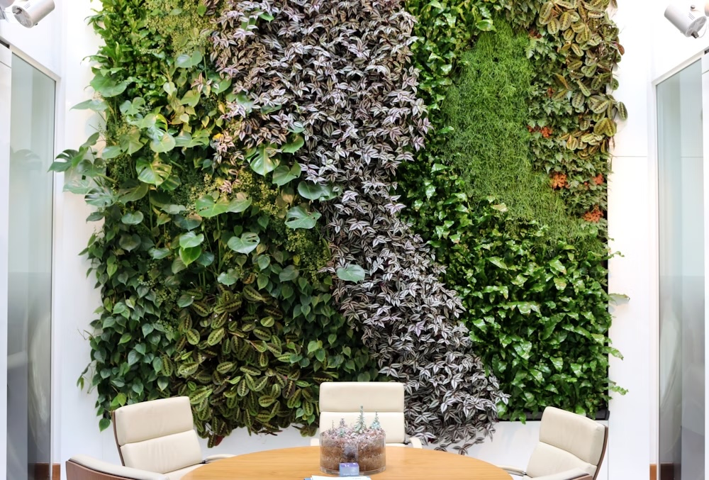 AJW Group office interior with a living wall feature