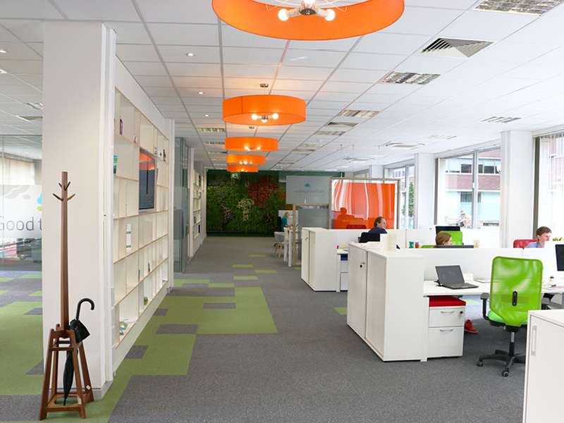 Inside Bord Bia offices, with a living wall at the end of the space
