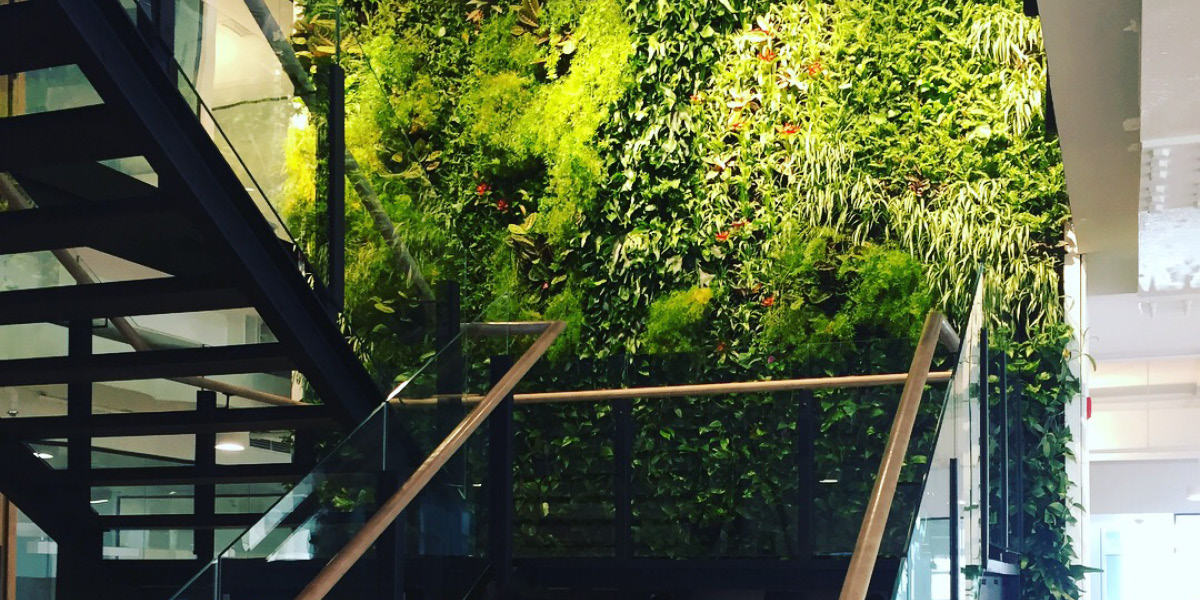 Installed by certified partner Desert Group, the Viritopia Living Wall beside the three-storey staircase provides a stunning plant backdrop.