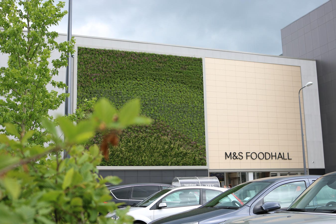 M&S Longbridge living wall in Northumberland Street