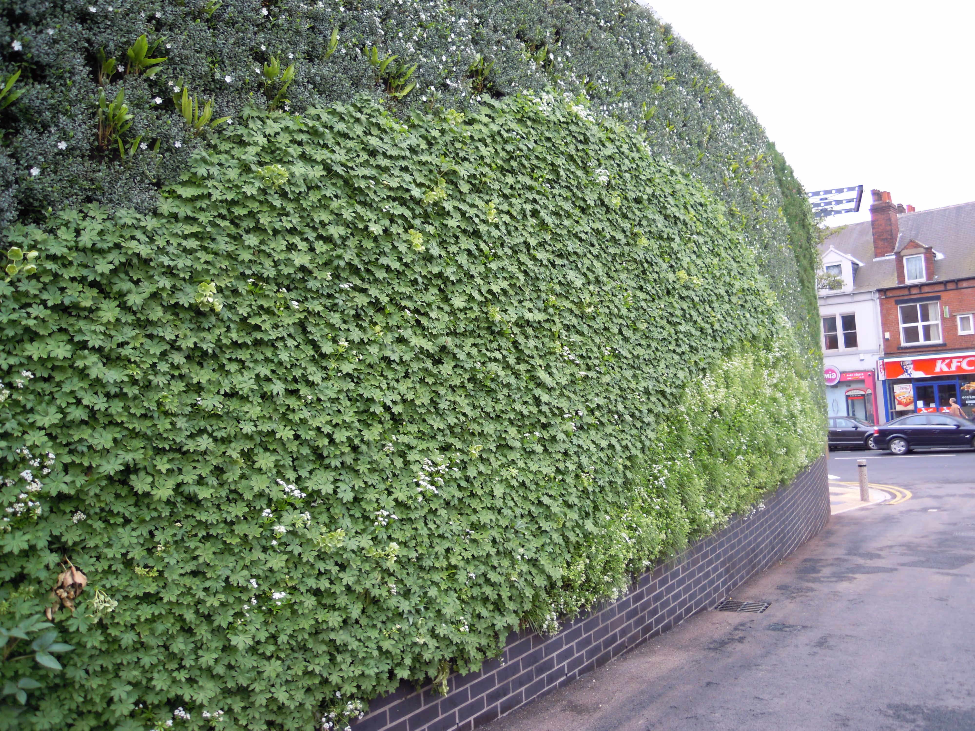 Close up of exterior living wall at M&S Sheffield