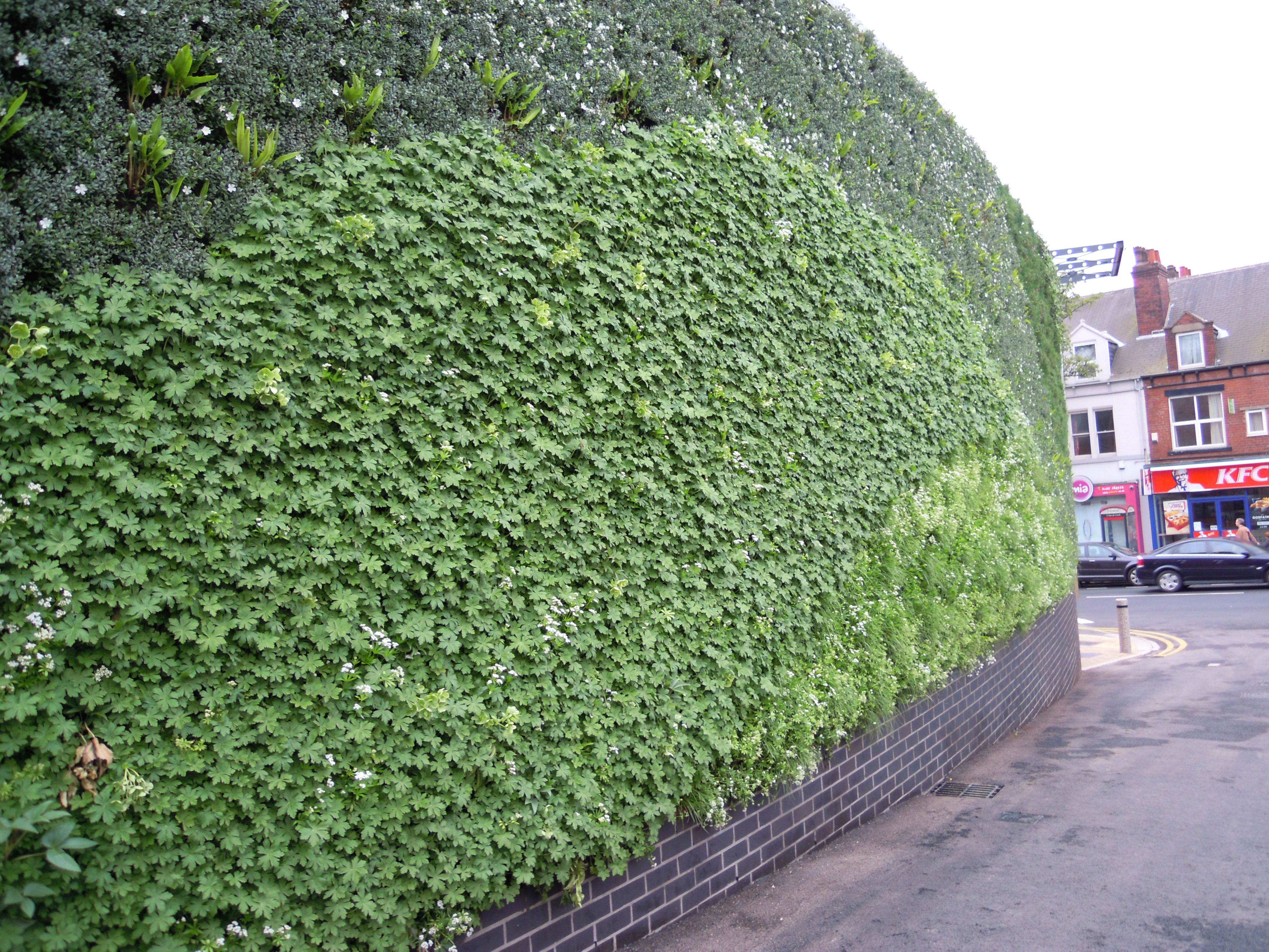 Close up of exterior living wall at M&S Sheffield