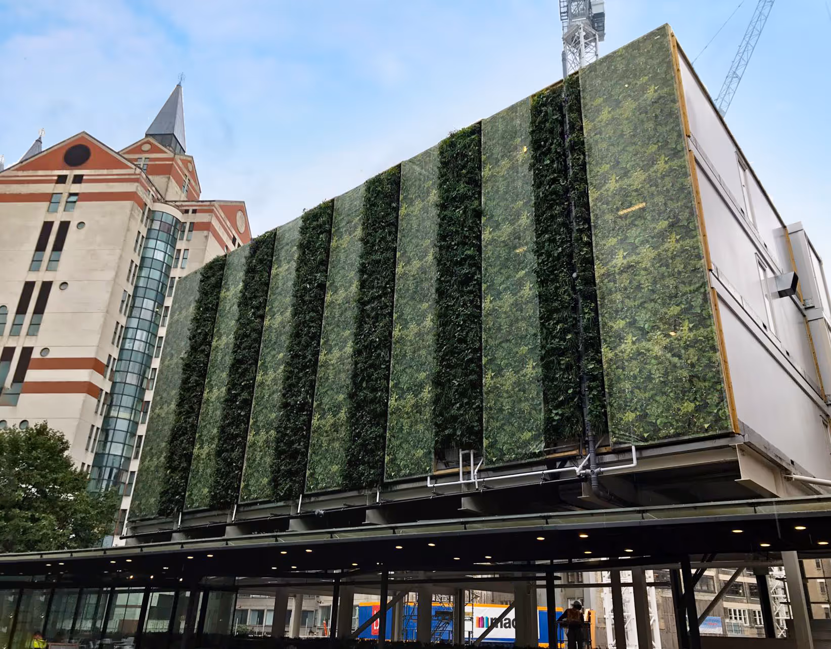 Large exterior living wall on the side of one of LSE's buildings
