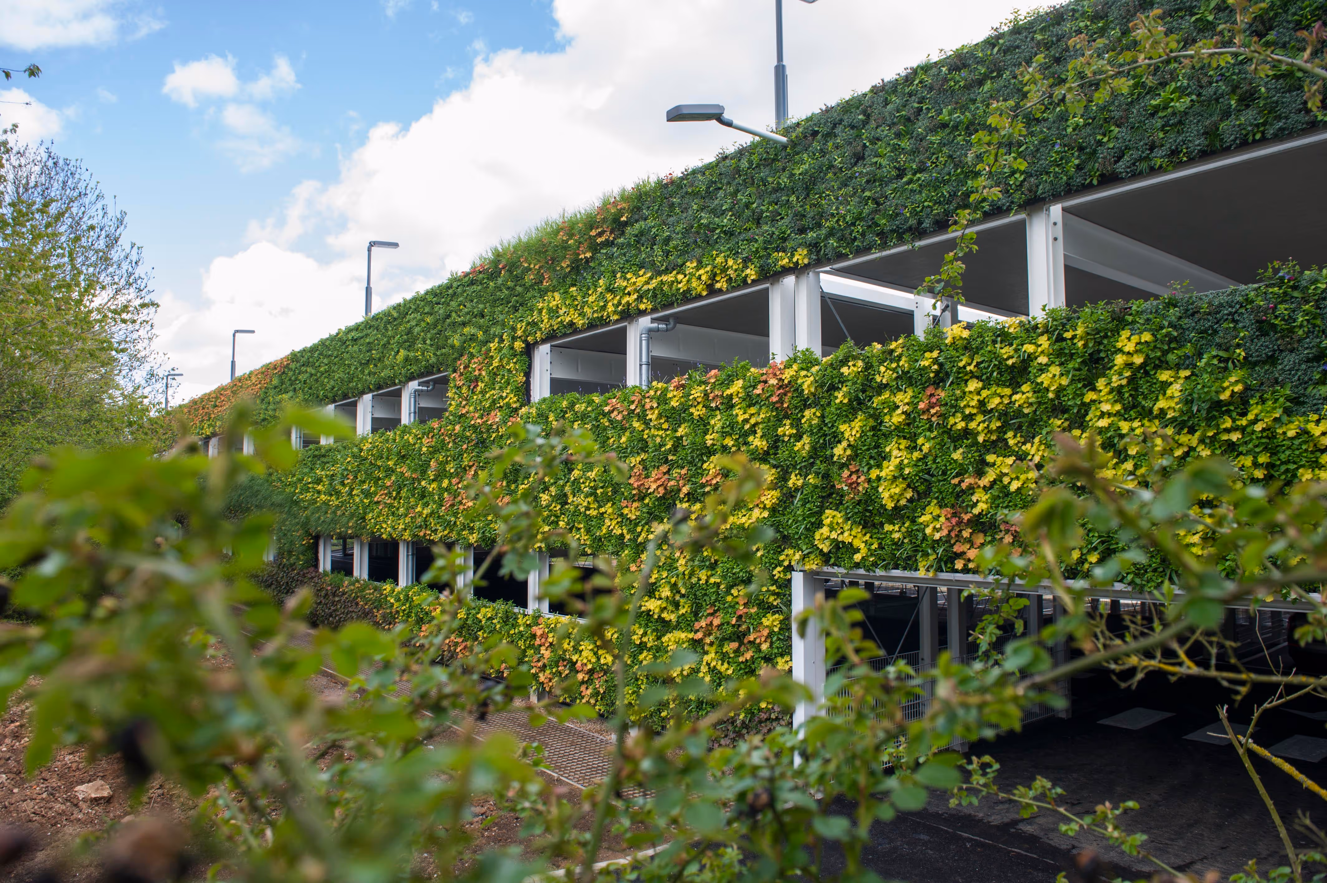 National grid car park exterior covered in a living wall