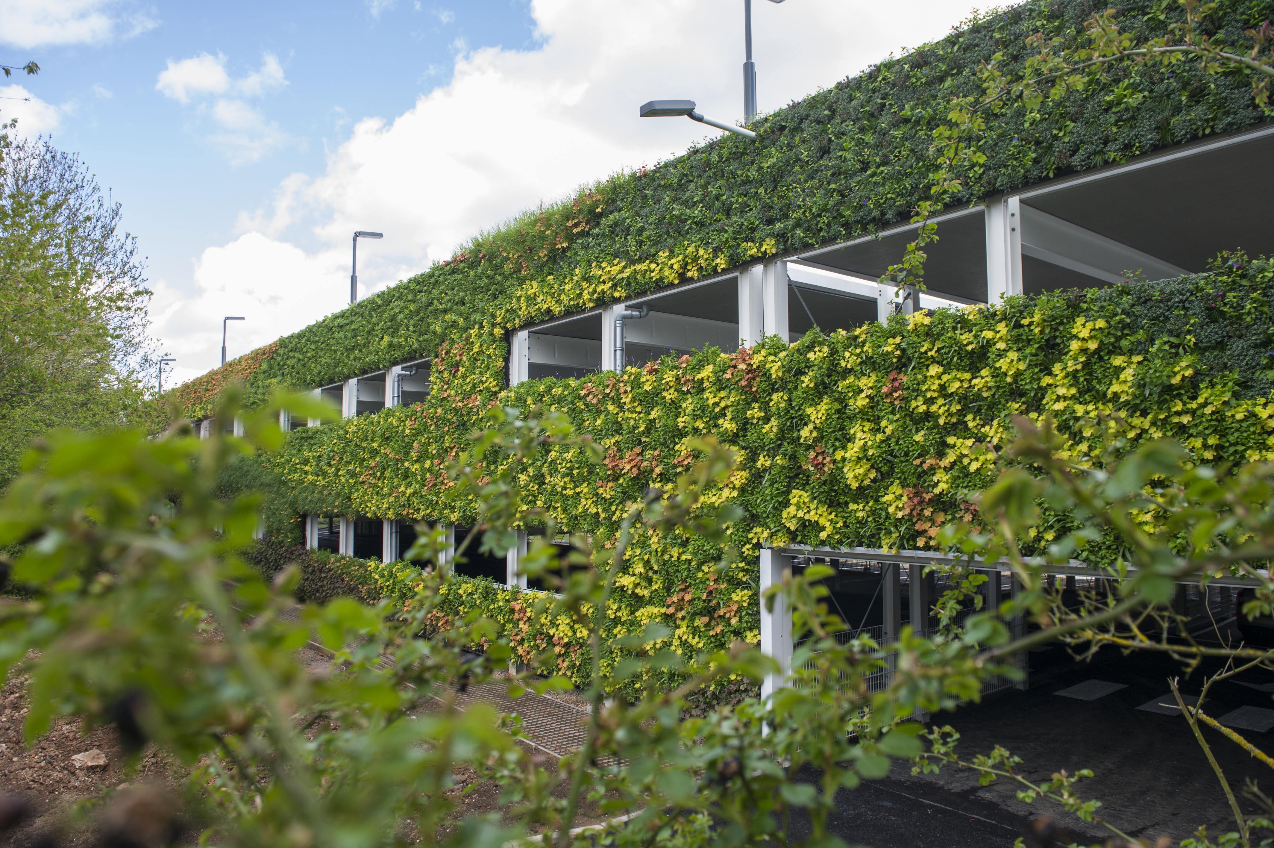 National grid car park exterior covered in a living wall