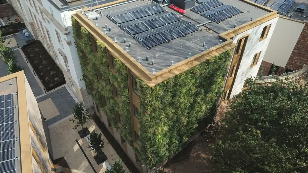 St Mary's in Bristol boasts a 250m² soil-based living wall, providing ecological habitats & urban greenery. It's a natural, aesthetic addition to the area.