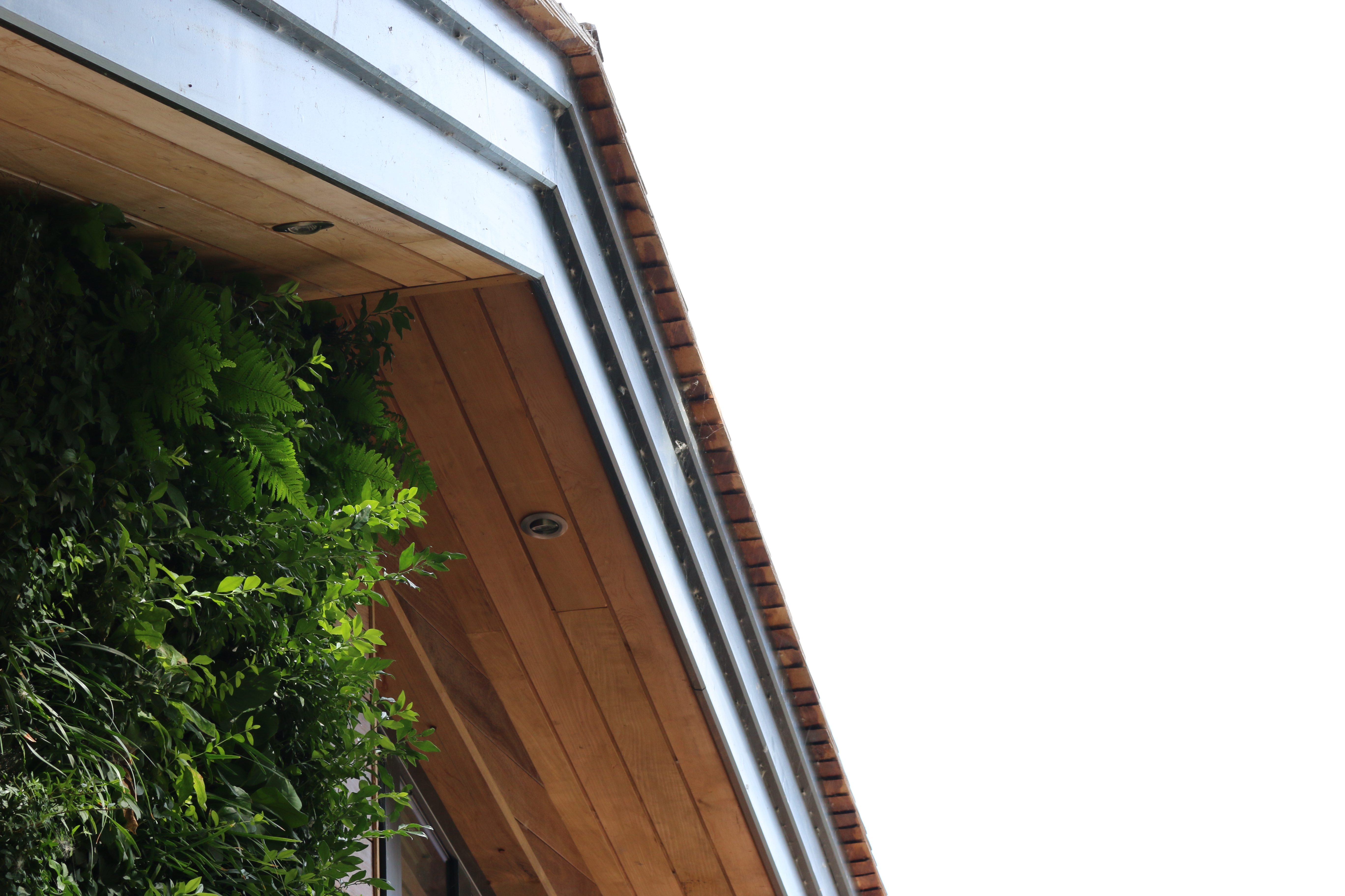 A sustainable lakeside home with six living walls by Viritopia, seamlessly blending modern design with nature for year-round beauty and eco-friendly living.