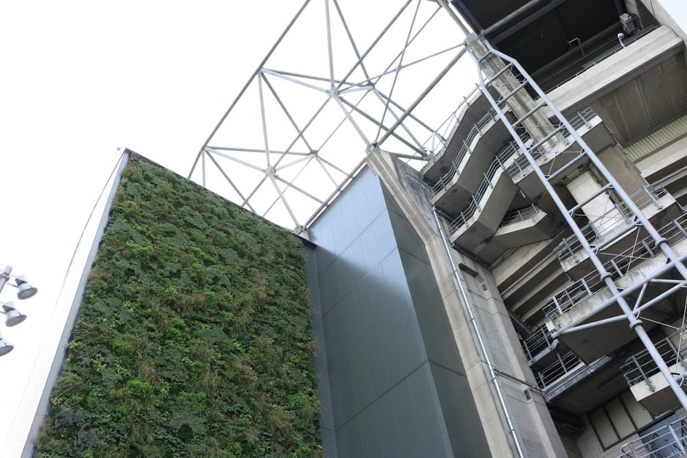 Exterior of Twickenham Stadium, with a tall living wall