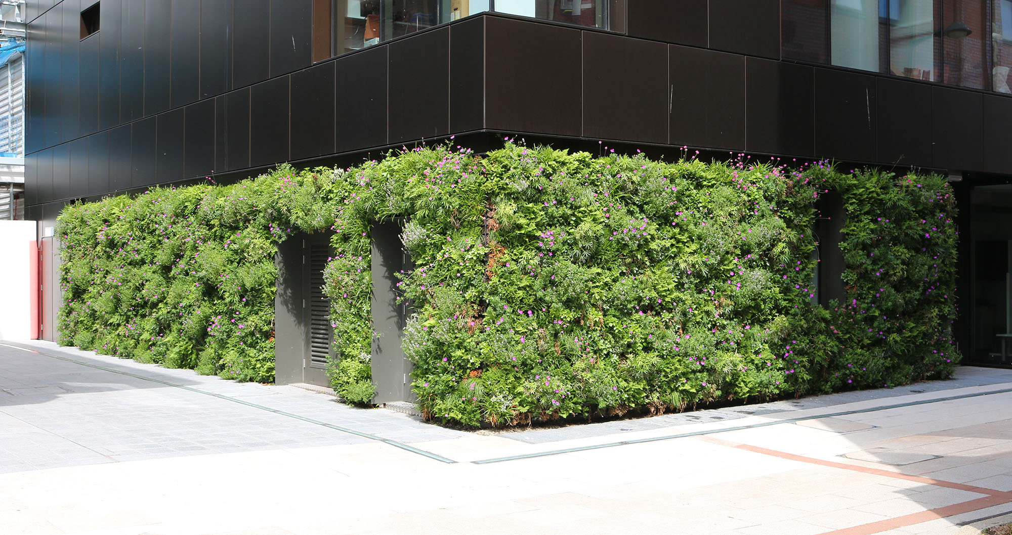 Living wall on the ground floor of a University of Liverpool building