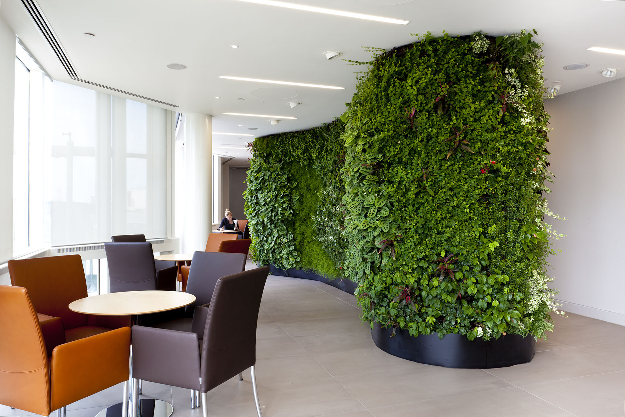 A bespoke double-sided living wall for XL Catlin's reception area, fabricated by Viritopia with a curved wooden framework. Weight was a critical consideration.