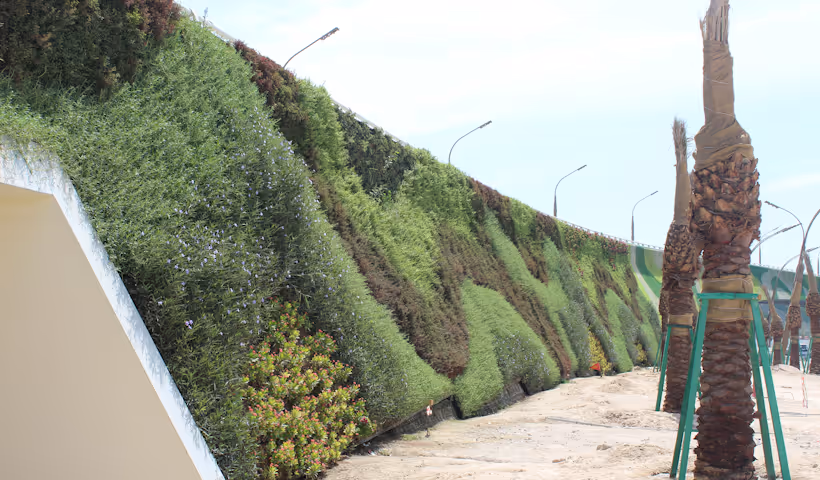Living green wall with lush vegetation covering urban landscape slope