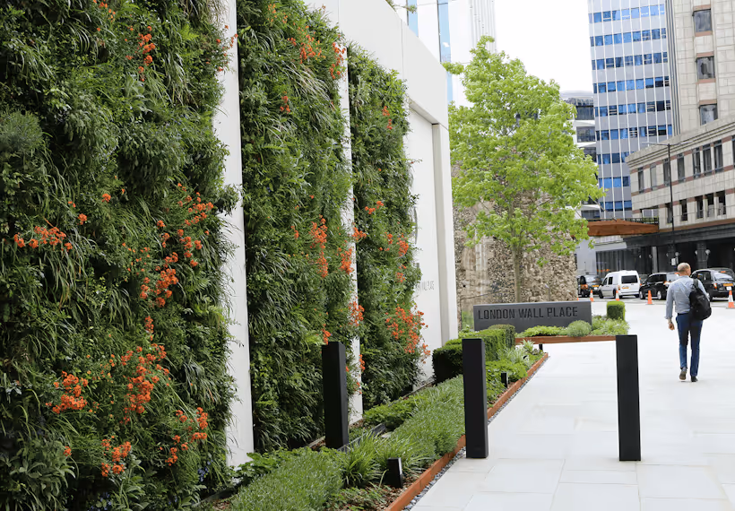 Lush living wall with green plants and red flowers at London Wall Place