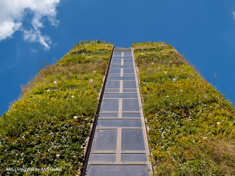 Living wall with vertical glass windows covered in lush green vegetation
