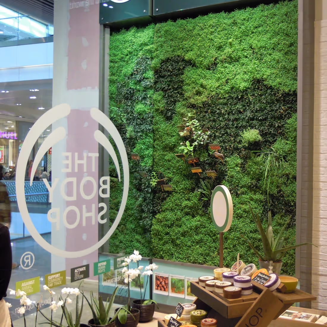 Interior living wall in the Body Shop in London, showing the company's logo near the living wall alongside their products.