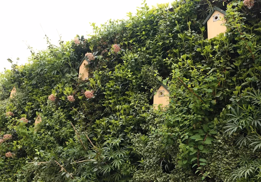 Close up of living wall with bird boxes installed in the wall