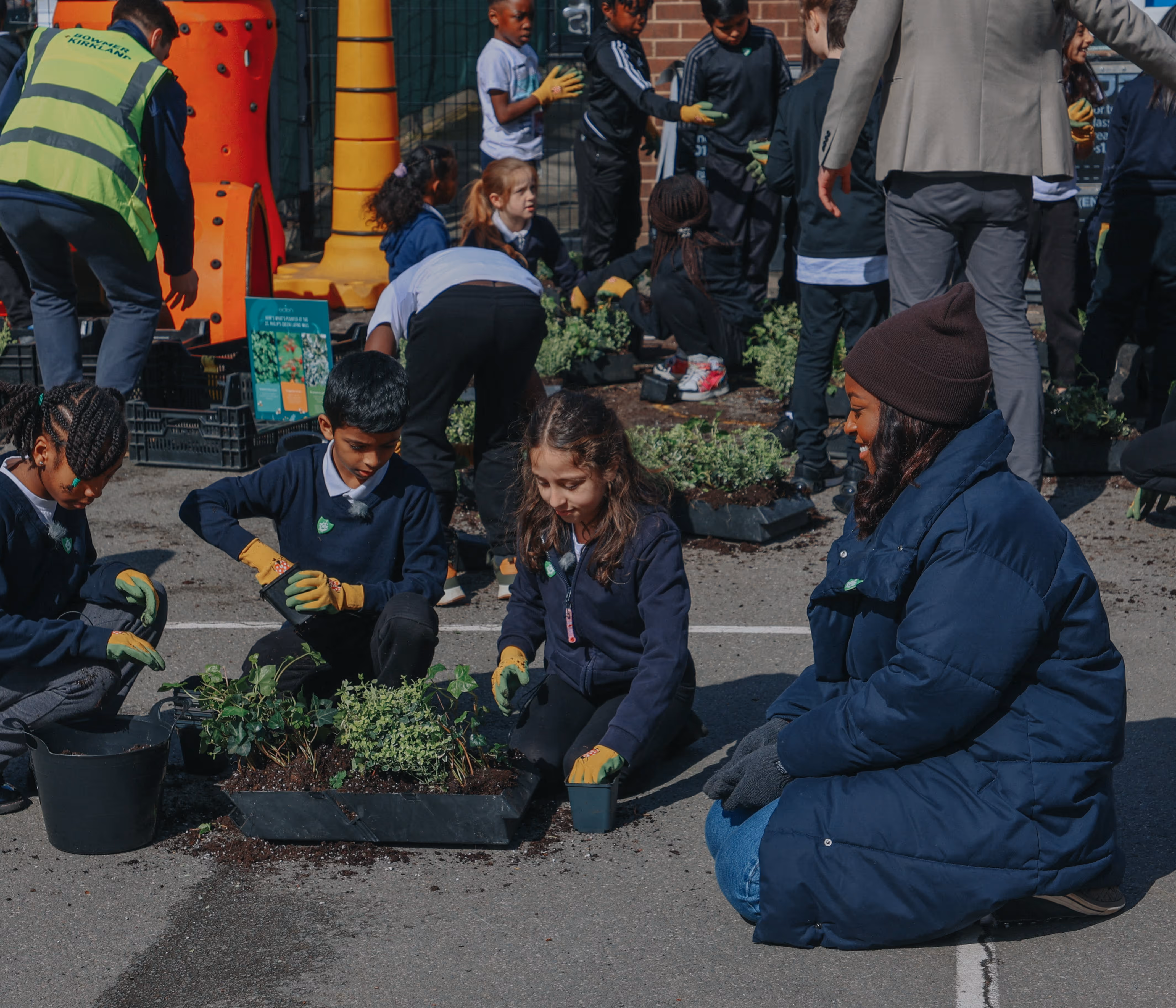 Students planting living green wall near colorful climbing wall