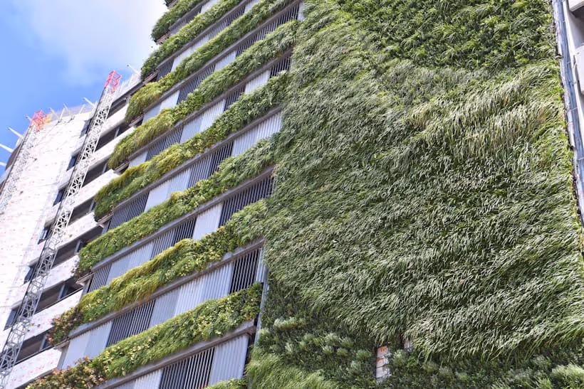 Living wall of green plants covering modern urban building facade