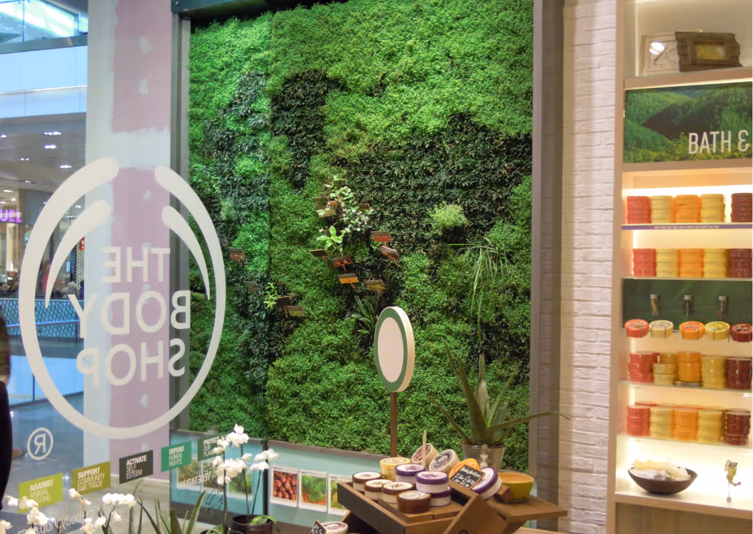 Living wall of green plants decorates Body Shop retail store interior