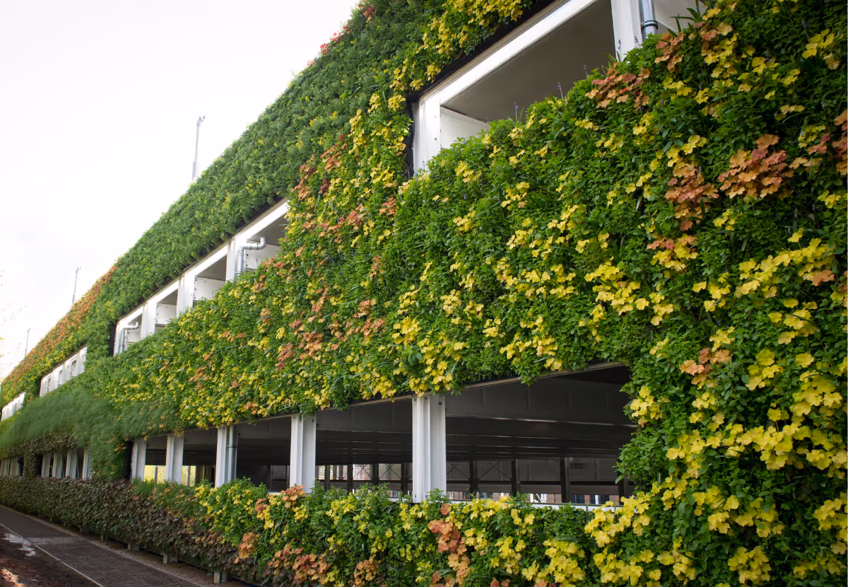 Living wall covers modern building with lush green and yellow foliage