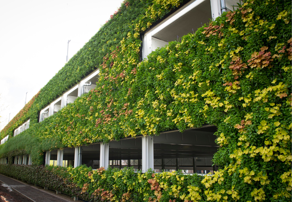 Living wall covers modern building with lush green and yellow foliage