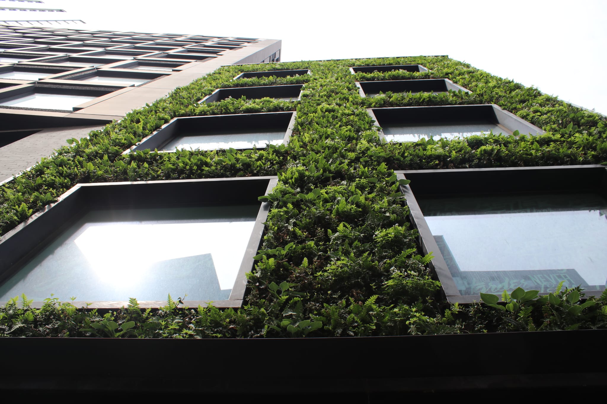 Close up of 145 City Road exterior living wall covering the building