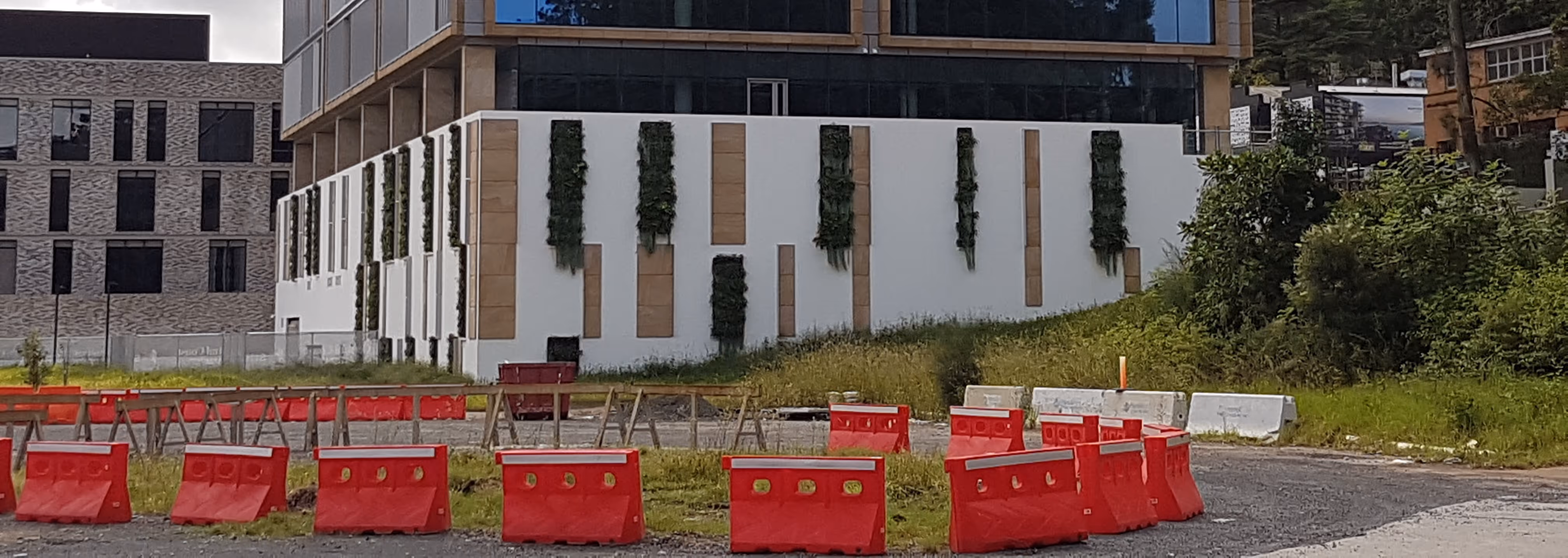 32 Mann Street exterior with several living walls